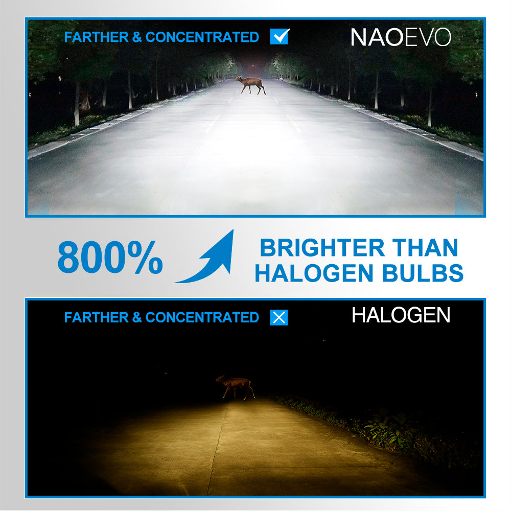 200W 24000LM LED Headlight Bulbs 6500K White | NAOEVO SAGA Series, 2 Bulbs