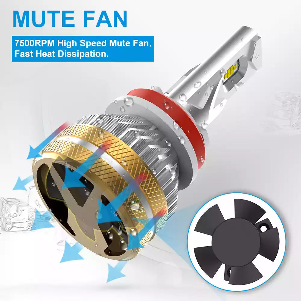 881 889 894 LED Fog/Driving Light Bulbs Kit 862 886 896 898 Super Bright White 77121231 Fe2b 4d64 9fdf 46abd91d5b0f.40c8512f2efe29a589f43f5634e5ce68 881 889 894 LED Fog/Driving Light Bulbs Kit 862 886 896 898 Super Bright White 77121231 Fe2b 4d64 9fdf 46abd91d5b0f.40c8512f2efe29a589f43f5634e5ce68